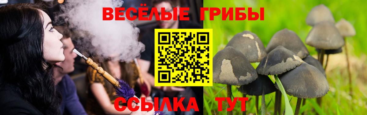 Псилоцибиновые грибы мухоморы Краснотурьинск